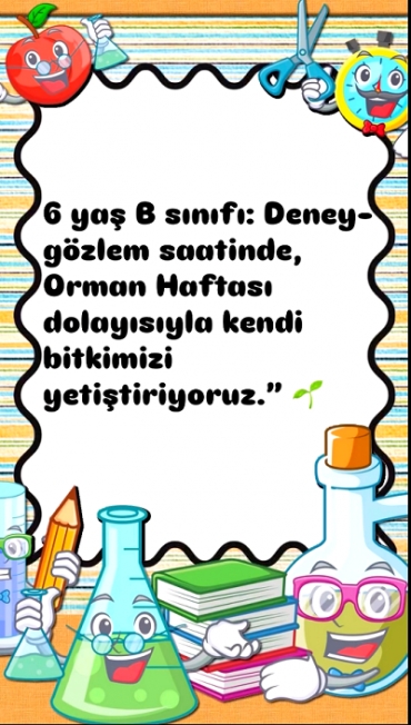 6 yaş B sınıfı Deney-Gözlem Saatinde, Orman Haftası dolayısıyla kendi bitkimizi yetiştiriyoruz.