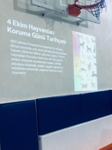 Okul Psikolojik Danışmanı ve Rehberlik Öğretmeni Nazım Aydın Şahin'in ortaokul öğrencilerine 4 Ekim Hayvanları Koruma Günü Sunumu