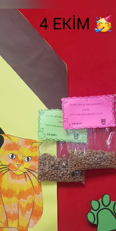 2/B sınıfı öğrencileri 4 Ekim Hayvanları Koruma Günü ile ilgili kedileri besledi.