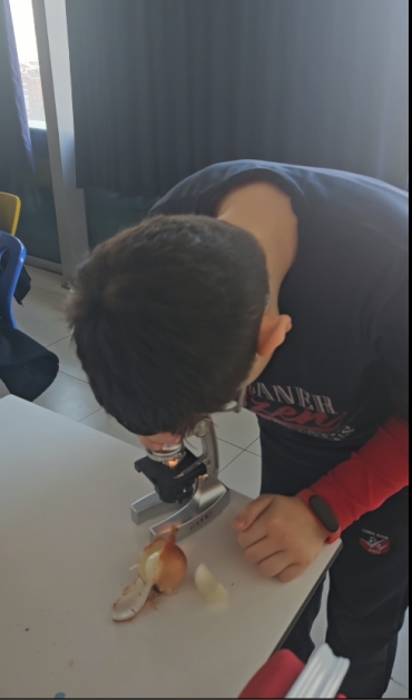 5A sınıfımızla mikroskopla bitki hücresi inceledik.